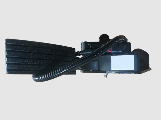 Accelerator Pedal Assembly