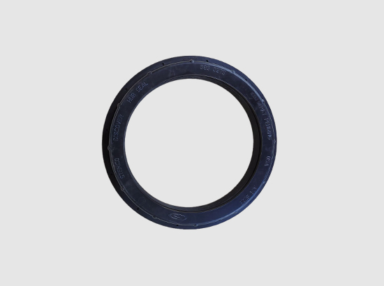 Oil Seal